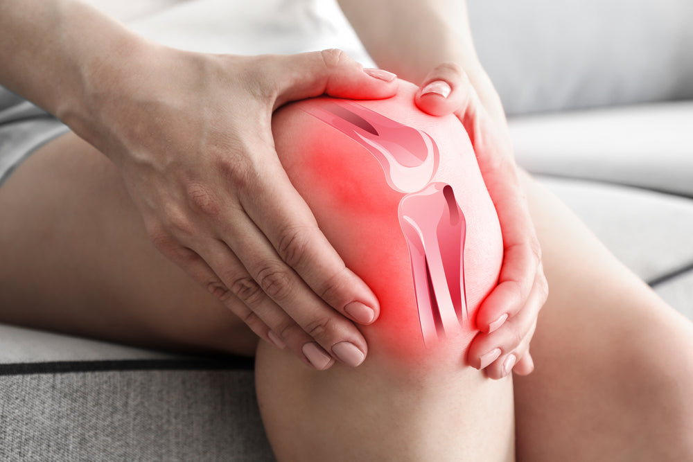UNDERSTANDING THE STRUCTURE AND FORM OF KNEE JOINT