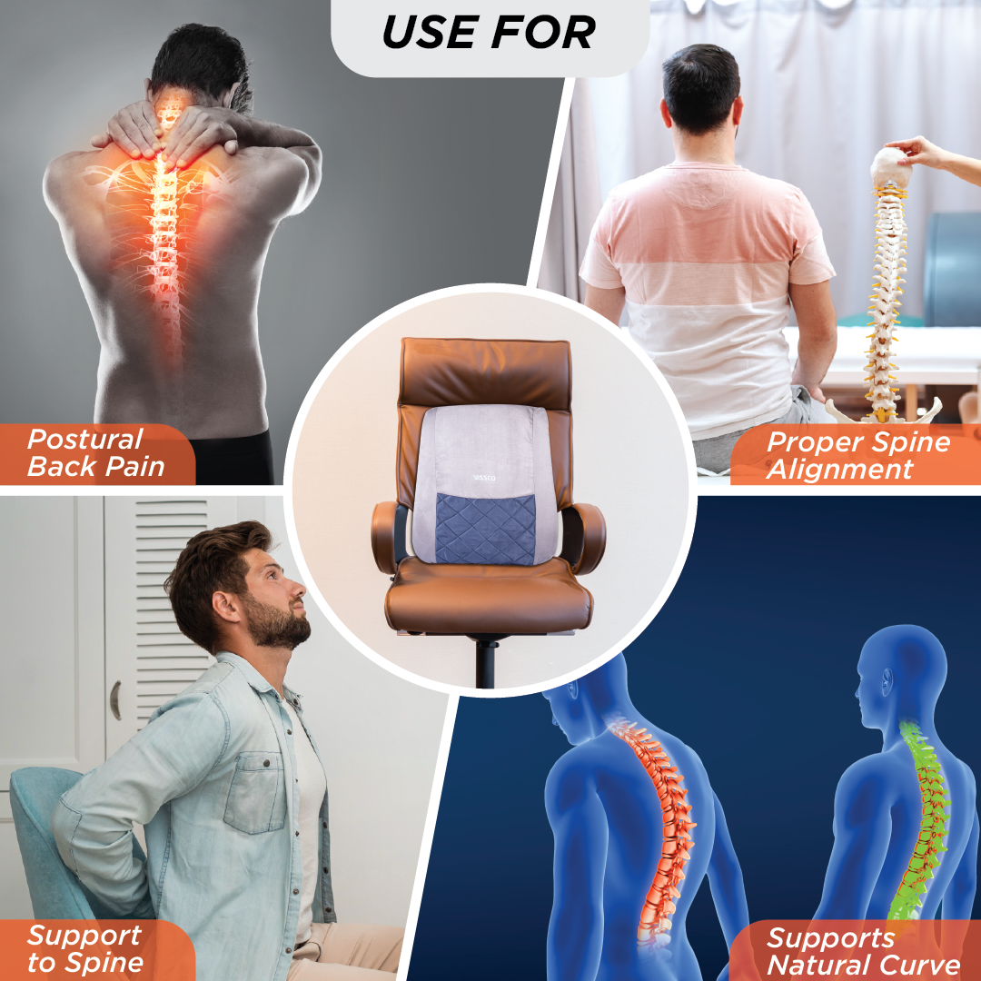 Smart Orthopaedic Back Rest | For Posture Correction & Relief from Back Pain (Grey)