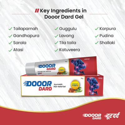 Dooor Dard Ayurvedic Pain Relief Gel 30 gm (Pack of 4)