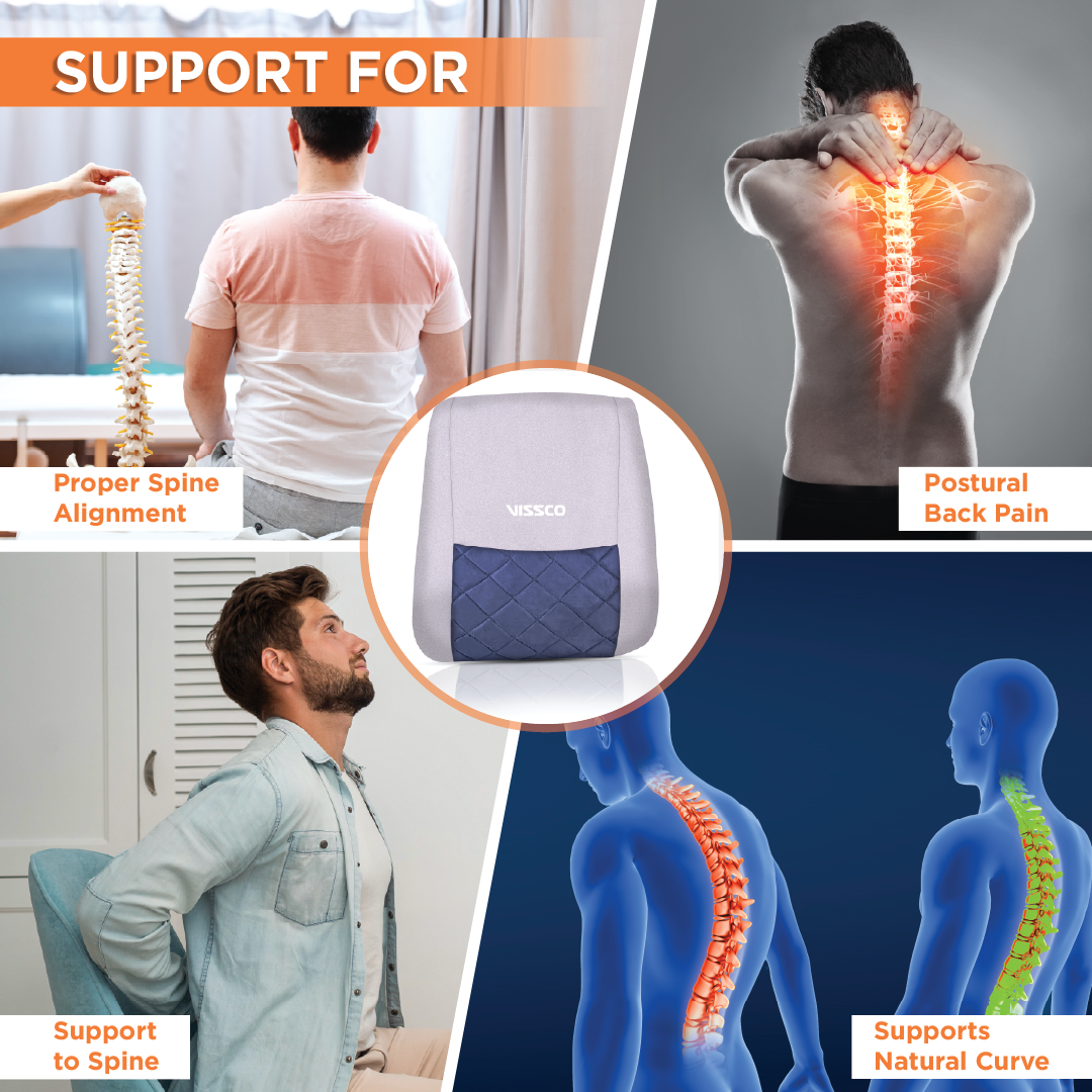 Vissco Smart Back Rest