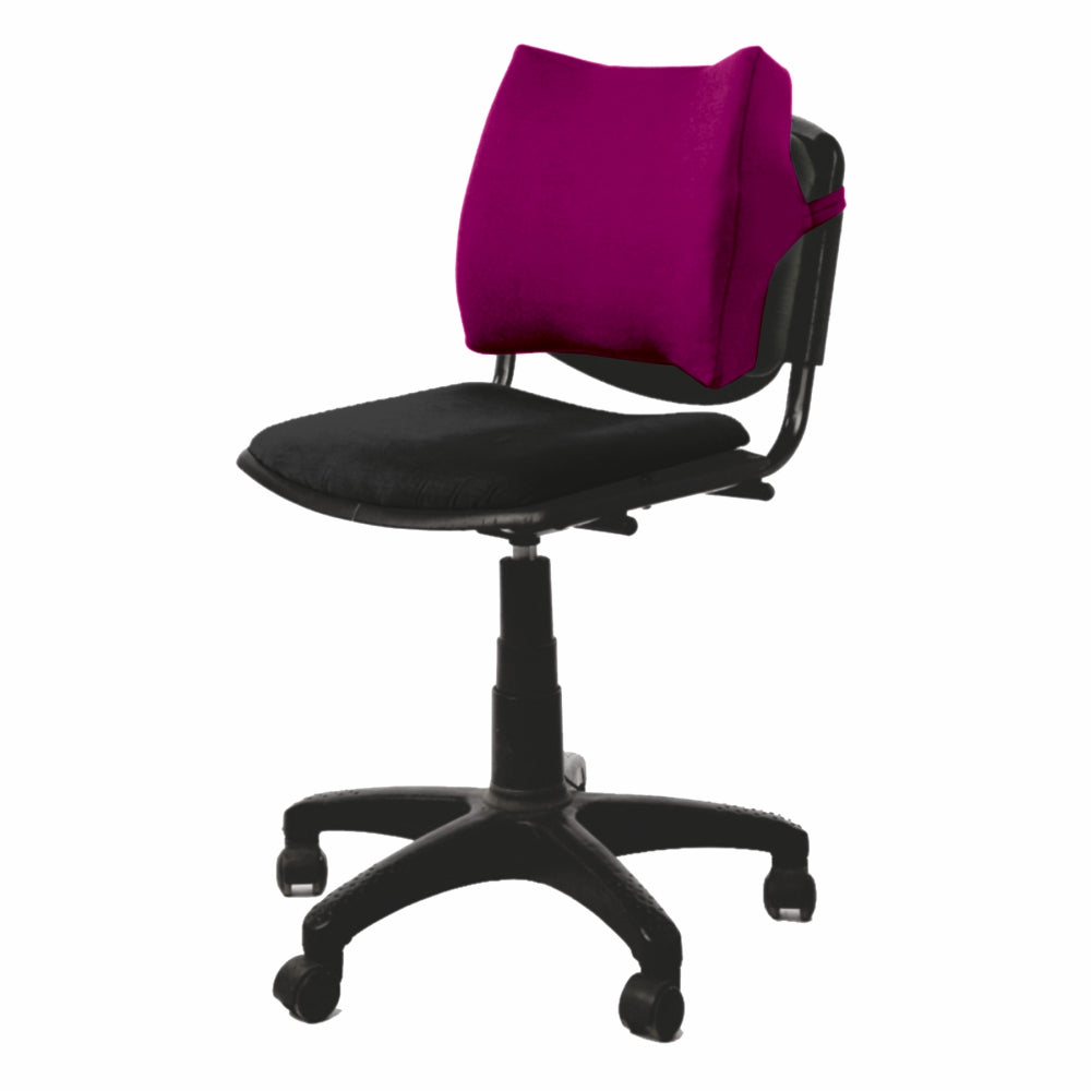Vissco Orthopaedic Back Rest | Improve Posture And Releive Back Pain